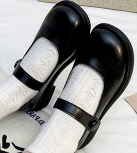 Female Students Shoes